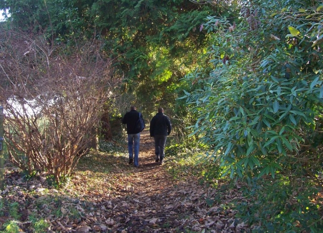  escursione nel fitto bosco 